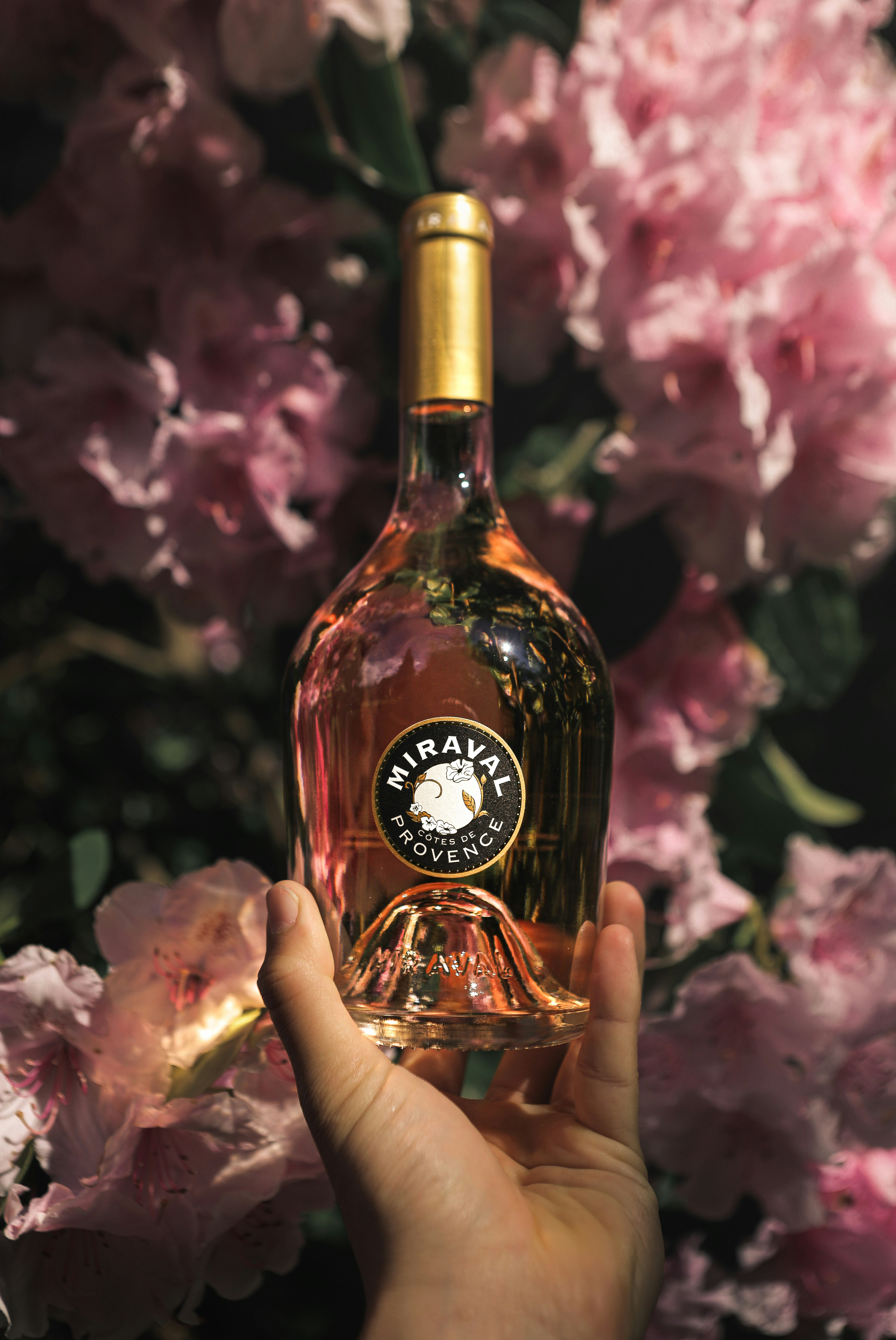 Aix Rosé